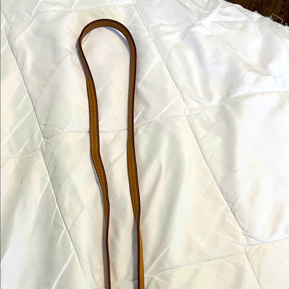 Authentic Louis Vuitton Eva clutch STRAP